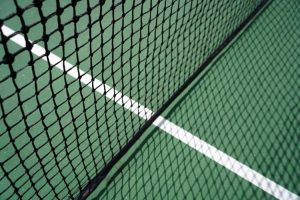 guide to best pickleball net on wheels